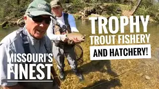 Trophy trout FISHERY AND HATCHERY!