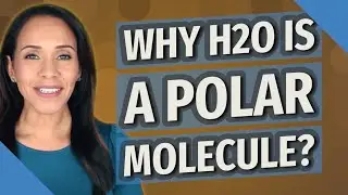 Why H2O is a polar molecule?