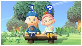 🏝️ NOTRE PLUS GROS PROJET sur Animal Crossing New Horizons avec @harvendore !?