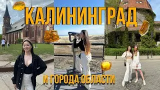 Vlog: Калининград, Куршская коса, Балтийск, Светлогорск и Зеленоградск. Успеть за 9 дней❤️