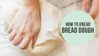 How to Knead Dough (without  a stand mixer!)