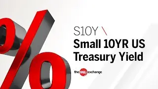 Small 10YR US Treasury Yield (S10Y)