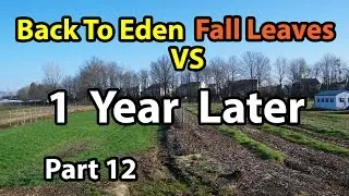 Back to Eden Gardening Method  Soil 101 with Wood Chips vs Leaves Composting G. Series # 12