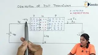 Operation of PNP Transistor - Bipolar Junction Transistor - Basic Electronics