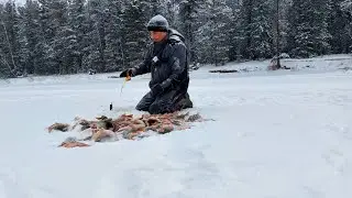 ДА СТОЛЬКО ЖЕ ВАС ТАМ ПО ДО ЛЬДОМ.30 КГ С ОДНОЙ ЛУНКИ.ЗИМНЯЯ РЫБАЛКА.