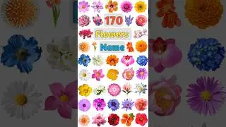 170 Flowers Name: Part- 08 #flowers #flowersname #flower #flowernames #flowershorts #allflowersname