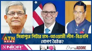 সিঙ্গাপুরে পিটার হাস–আওয়ামী লীগ–বিএনপি গোপন বৈঠক? | Peter Haas | Awami League | BNP | Secret Meeting