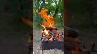 Отдых в лесу