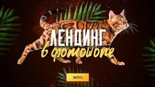 Дизайн лендинга в фотошопе 🐅