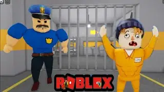 ROBLOX TEAM BORRY PRISON BREAKOUT [TEAMWORK OBBY] [mr beast game]