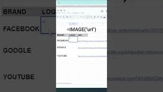 Image Function in Google Sheet