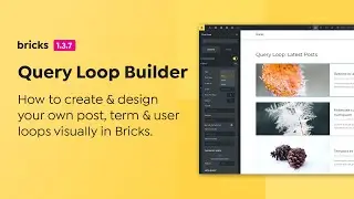 Bricks - Query Loop Builder (for Posts, Terms, Users)