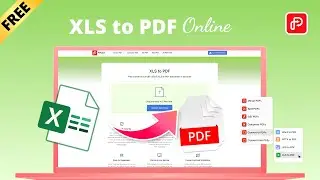 How to Convert XLS to PDF?