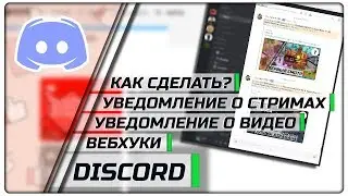 Как сделать уведомление о новых видео YouTube, стримах и вебхуки в Discord | Бот для уведомлений