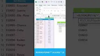 XLOOKUP Formula with Wildcard in Excel #excelformula #exceltips #shorts