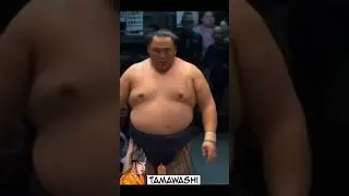 Орёл против Дракона Тамаваси vs Рюден Нагоя Басё 2024 #japan #sumo #duel #сумо #япония #sport