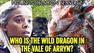 Which Is The Wild Dragon In The Vale Of Arryn And, How He Changes Two Important Sub Plots InHotD