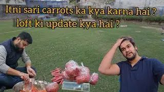 Itni Carrots ka kya bnra ? | pigeon loft kahan tak bn gye ? | daily vlog 221