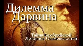 Дилемма Дарвина (2009) документальный фильм