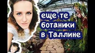 Ботанический сад в Таллине. Живописные окрестности или куда съездить подышать.