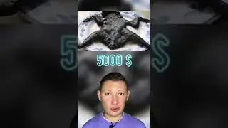 Самые редкие вещи в мире