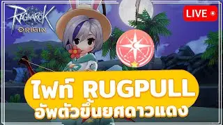 🔴 RO Origin (Global) | EP.142 ฝ่า RUGPULL เพื่อเข้ารอบ Odin Cup 4 ทีมสุดท้าย คืนนี้ 20:00