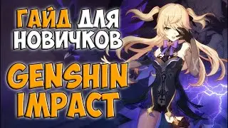 ГАЙД по Genshin Impact / Что собирать, как точить, как качать выносливость и т.д.