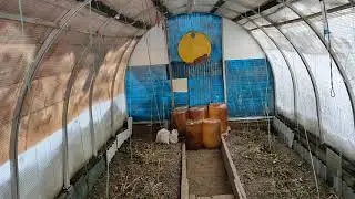 Теплицы из пластиковых бутылок. Поздняя осень.