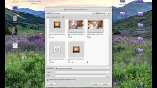 How to Import Images and Video from your Android Device using LinuxMint
