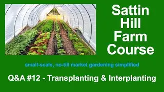 Sattin Hill Farm Course Q&A #12 - Transplanting & Interplanting