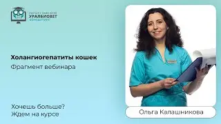 Фрагмент вебинара 
