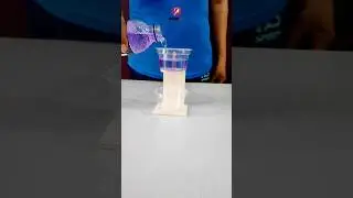 Pythagoras Cup 