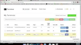 Scaling Your Servers Quickly with Terminal.com