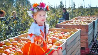 Яблочный сок из агрогородка Тихиничи, Беларусь – Студия Видеолаб