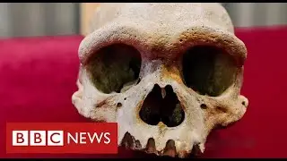 New human species found in China could be our “closest evolutionary relative” - BBC News