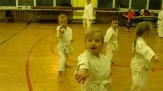 Традиционное карате до сетокан. Тренировка.   Детские секции