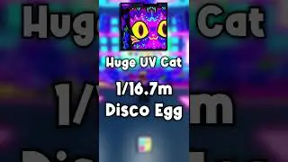 CHANCES For Huge UV Cat!