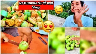 N2 Tutorial Sir को सानो र मीठो vlogs||@n2tutorial494