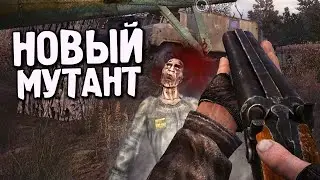 НОВЫЙ МУТАНТ В S.T.A.L.K.E.R. Тень Чернобыля. STALKER Lost Alpha DC #3