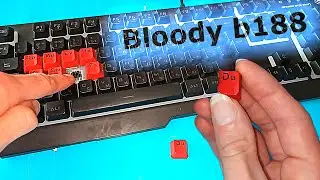 сломалась кнопка/кейкап на Клавиатуре Bloody b188 : как заменить и на что ? XDA2 XDA U1 