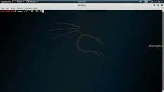 how to Find Out All Live Hosts IP Addresses Connected on Network with Kali Linux