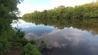 САЗАН НА САЛО .РЫБАЛКА НА РЕКЕ СУРЕ.