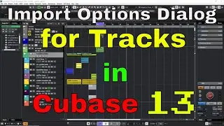 Import Options Dialog for Tracks in Cubase 13