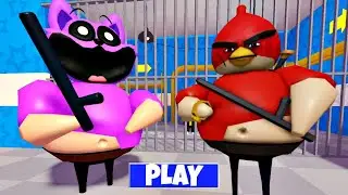 Roblox ANGRY BIRD'S VS CATNAP BARRY'S PRISON RUN! (Obby)