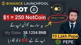 Free Airdrop 5000+ NotCoin Binance Launchpool | Price and Use