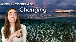 Causes & Effects of Ocean Warming, Acidification, Anoxia, & Sea Level Rise | GEO GIRL