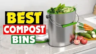 Top 10 Best Compost Bins in 2024