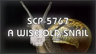 SCP 5767 - A Wise Old Snail