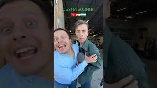 жудахам Кизик капалак 