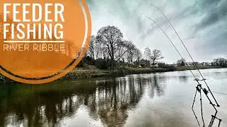 Feeder Fishing On The River Ribble | Last Week Of River Season